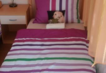 Osterija Na Planinci has rooms with a private hot tub