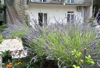 Apartments Duras has Smoking/Balcony rooms