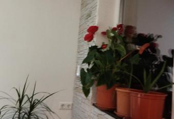 Haus Schliengen has Balcony rooms