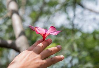 NEW! HARMONY HOUSE - Enjoy a little Peace of Aloha! has Balcony rooms