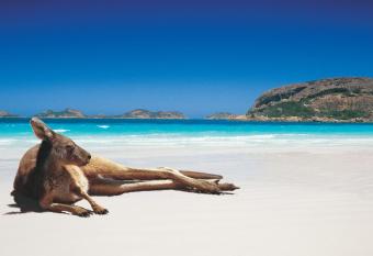 Shiralee Hostel -note - Valid passport required to check in allows 18 year olds to book a room