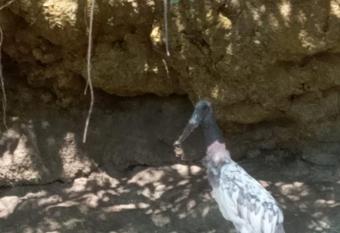 puertohumo-pay-cashroom has Smoking rooms