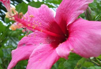 Happy staycation allows 18 year olds to book a room