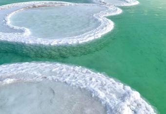 Nadia Hosting Dead Sea has Balcony rooms