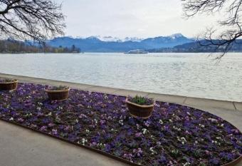 Apartment Luzern Dios has Balcony rooms