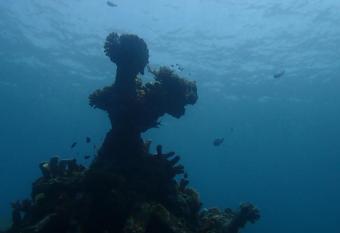 Dhitabila has Balcony rooms
