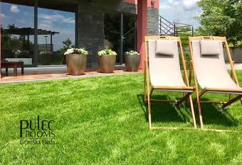 Apartma Sobe Pulec has Balcony rooms