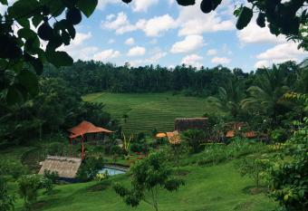 Bali Lush has Balcony rooms