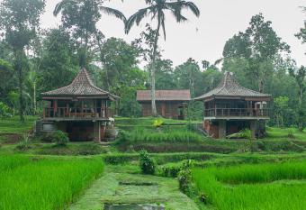 Tepi Sawah Lodge & Retreat has Balcony rooms
