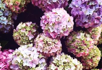 H  tel M  diterran  e has Balcony rooms