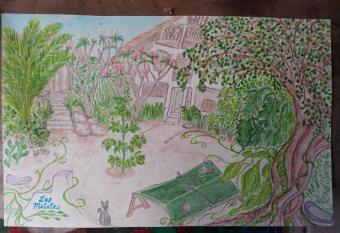 Los metates has Balcony rooms