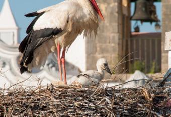 Stork Hostel allows 18 year olds to book a room