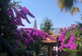 Apartments Ana has Balcony rooms