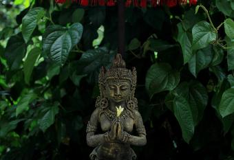 Ayu Homestay allows 18 year olds to book a room