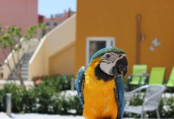 La Vida Sin Limites has Balcony rooms