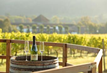 Denbies Vineyard Hotel allows 18 year olds to book a room