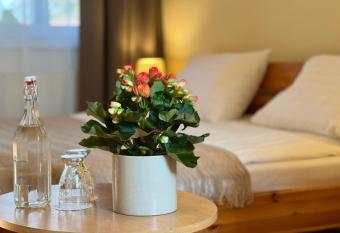 Hotel Marislav allows 18 year olds to book a room