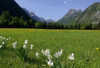 Turisticna Kmetija Psnak has Balcony rooms
