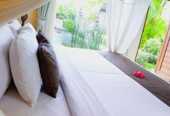 Villa JJ and Spa Ubud has rooms with a private hot tub