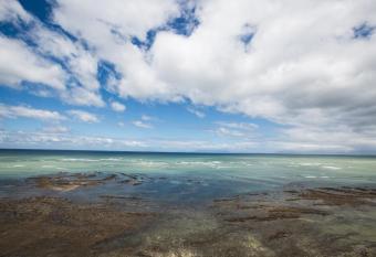 Loddey s Self Catering Apartments has Balcony rooms