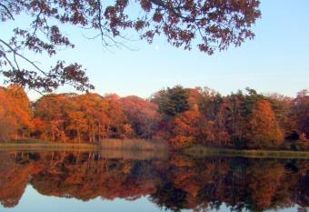 House on Chase Creek has Balcony rooms