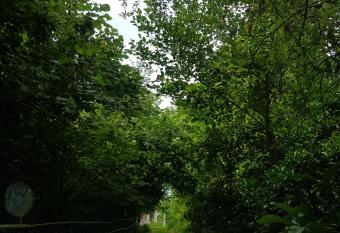 Guesthouse Eco Chakvi has Smoking/Balcony rooms