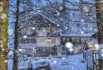 Pensiunea Faast has Balcony rooms