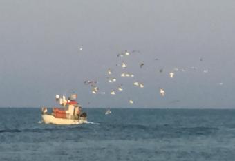 Mansarda Mare has Balcony rooms