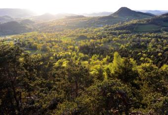 Aux Pays Des Sucs has Balcony rooms