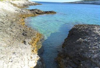 Apartments Neo has Smoking/Balcony rooms