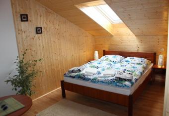 Studio Glass Vyso  ina allows 18 year olds to book a room