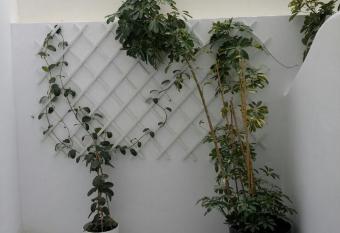 Naxos Dream Aphrodite Studios has rooms with a private hot tub