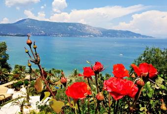 Dimitra Apartments K has Balcony rooms