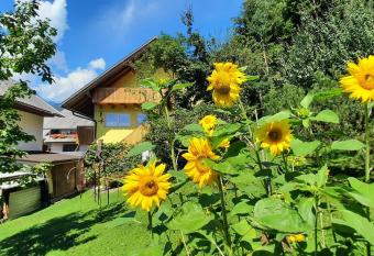 Apartment Murka has Balcony rooms