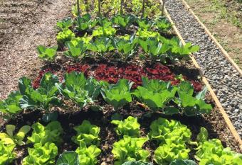 Il Borghetto Country Inn has Balcony rooms