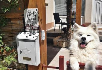 Jasmina allows 18 year olds to book a room