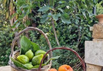 Masseria Vivi il Salento has Smoking/Balcony rooms