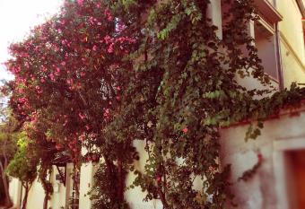 Guest House Neho has Balcony rooms