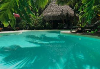 Hotel El Peque  o Gecko Verde has Balcony rooms