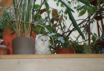 Chambres d h  tes Olry allows 18 year olds to book a room