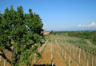 Il Girasole has Balcony rooms