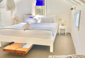 Waiheke Island Guesthouse allows 18 year olds to book a room