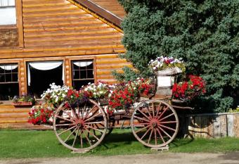 Daven Haven Lodge & Cabins allows 18 year olds to book a room