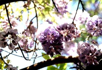 Hotel Emblem  tico Casa Casilda allows 18 year olds to book a room