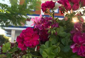 Greccia Hotel has Smoking/Balcony rooms