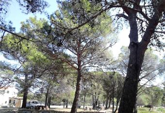 Eco Secluded apartments Zabodarski has Balcony rooms