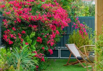 Casa das Hort  nsias - Charming Guest House has Balcony rooms