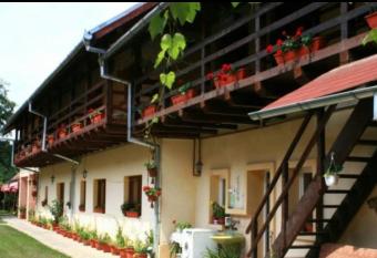 Pensiunea Leia has Balcony rooms