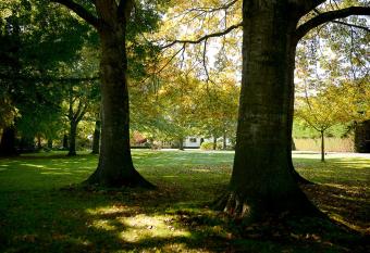 Silverstream Lodge has Balcony rooms