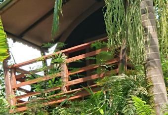 A Peace In Paradise has Balcony rooms